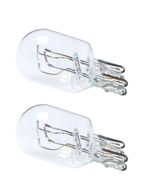 Pack de 2 Ampoules BOSCH 1987301079 12V 21W